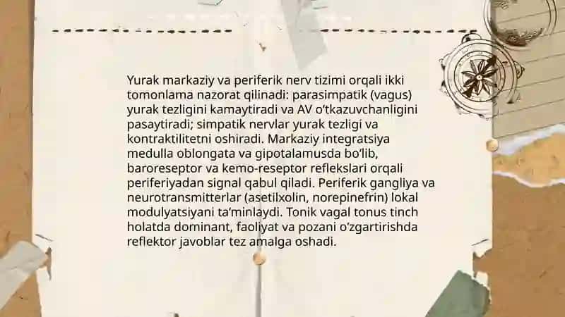 Yurak faoliyatini boshqarilishini oʻziga xosligi 3