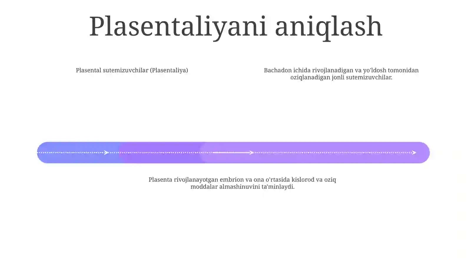 Sutemizuvchilar (Plasentaliya) Sinfchasi 3