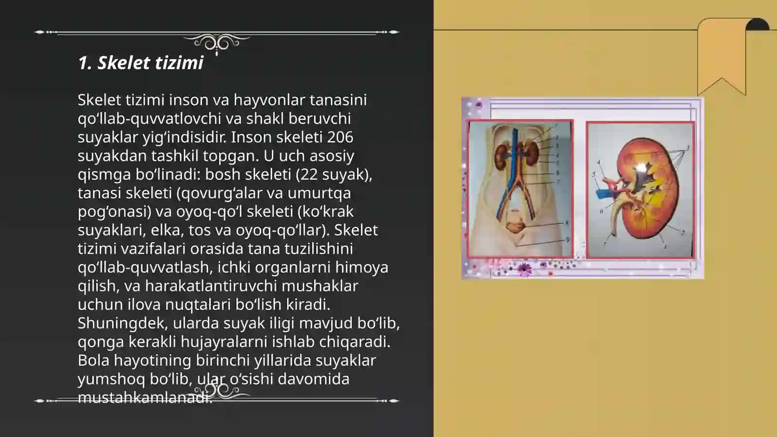 Odam anatomiyasi va fiziologiyasi by Abriyev Shahzod 3