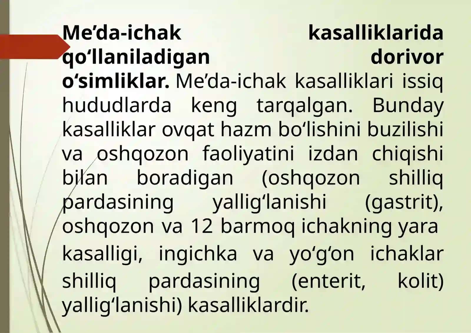 DAVLAT TABIIY FANLAR FAKULTETI BIOLOGIYA TA’LIM YO’NALISHI 3