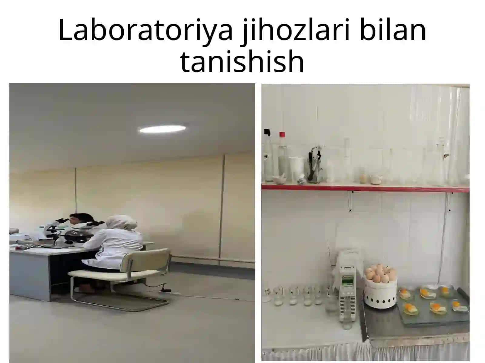 Muhiddinova Pokizaning Malakaviy amaliyot uchun taqdimoti 3