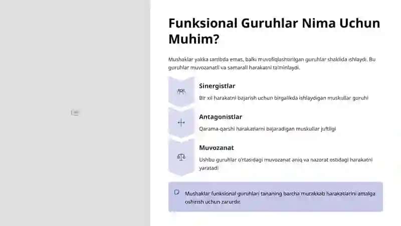 Mushaklar Funksional Guruhlari 3