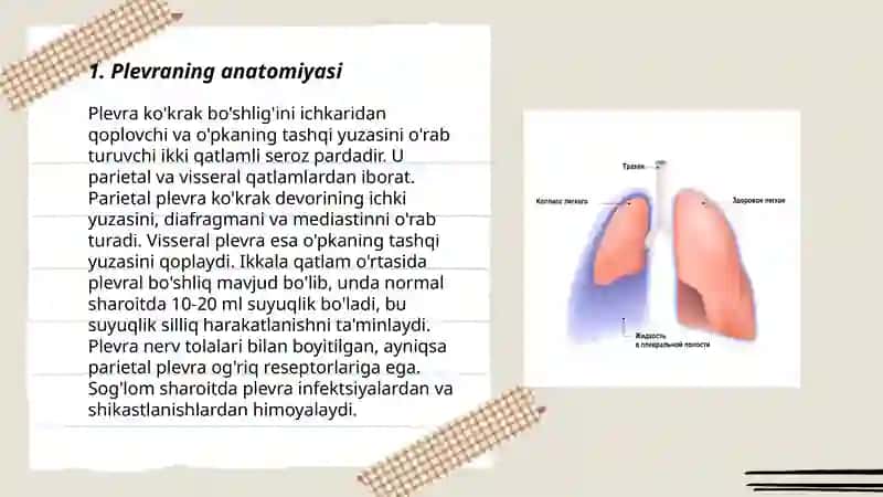 Plevra-pleura 3