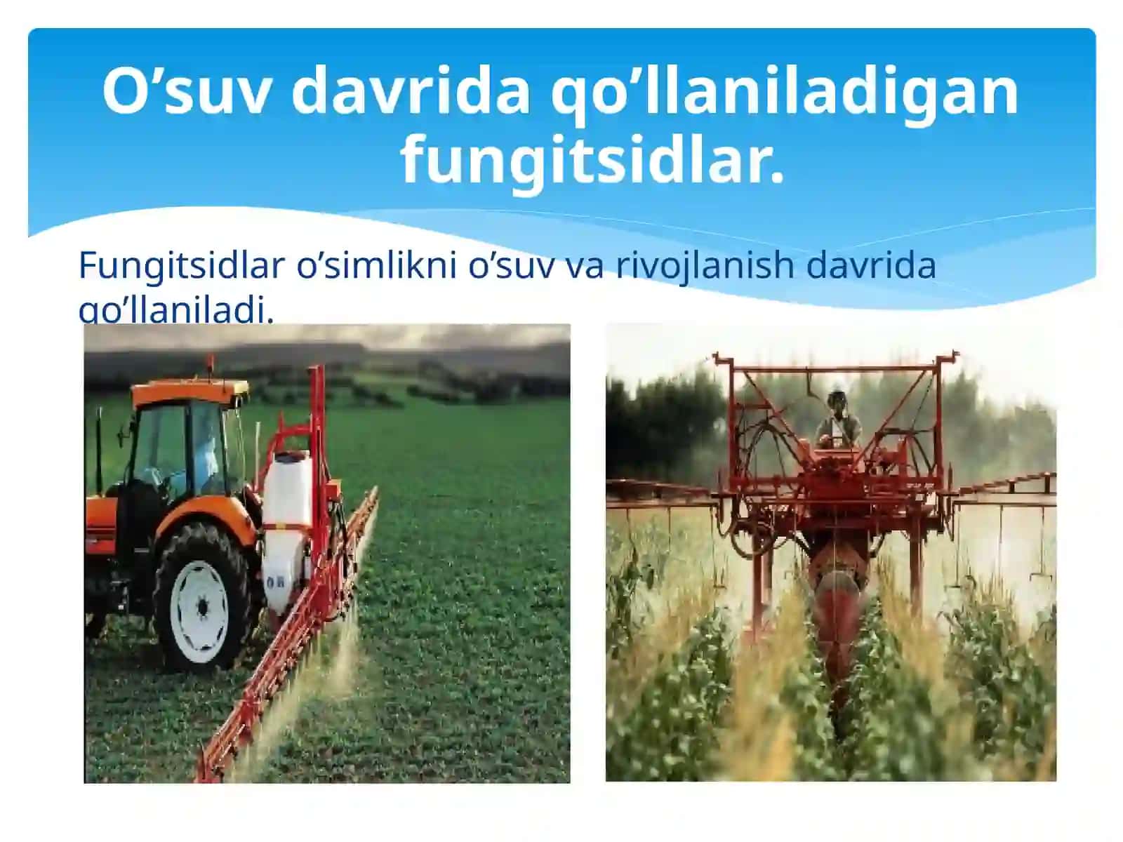 O'simliklarni O'suv va Tinim Davrida Qo'llaniladigan Fungitsidlar 3