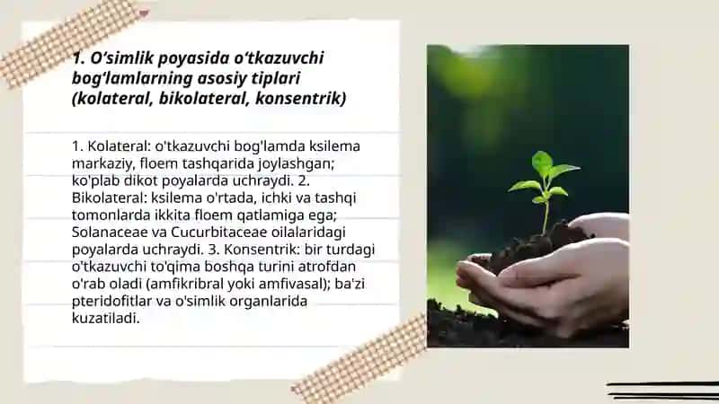 Oʻtkazuvchi bogʻlamlarning tiplarini turli oʻsimlik poyalarda aniqlash va sxemasini chizish 3