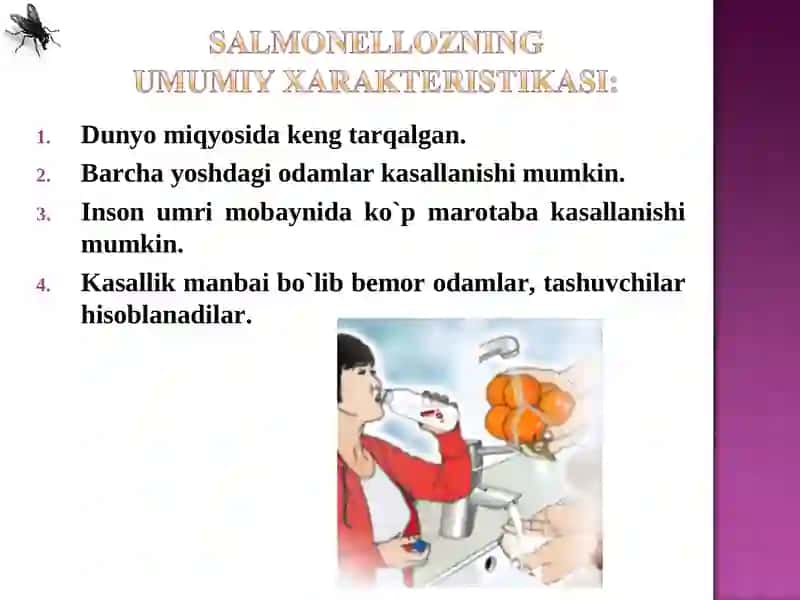 Salmonellyoz – yuqumli ichak kasalligi 3