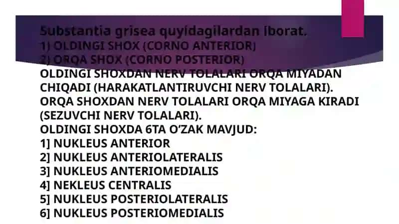 Davolash ishiyoʻnalishi105- guruh talabasiAbdullayevaIrodaning anatomiya fanidan tayyorlagan mustaqil ishi 3