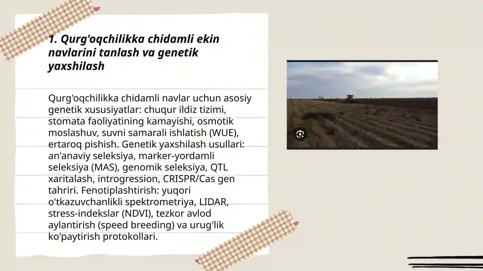 Dala ekinlarni yetishtirish innovatsion usullari 3