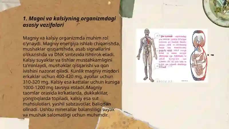 Magni kalsiy ruh organizmdagi ahamiyati 3