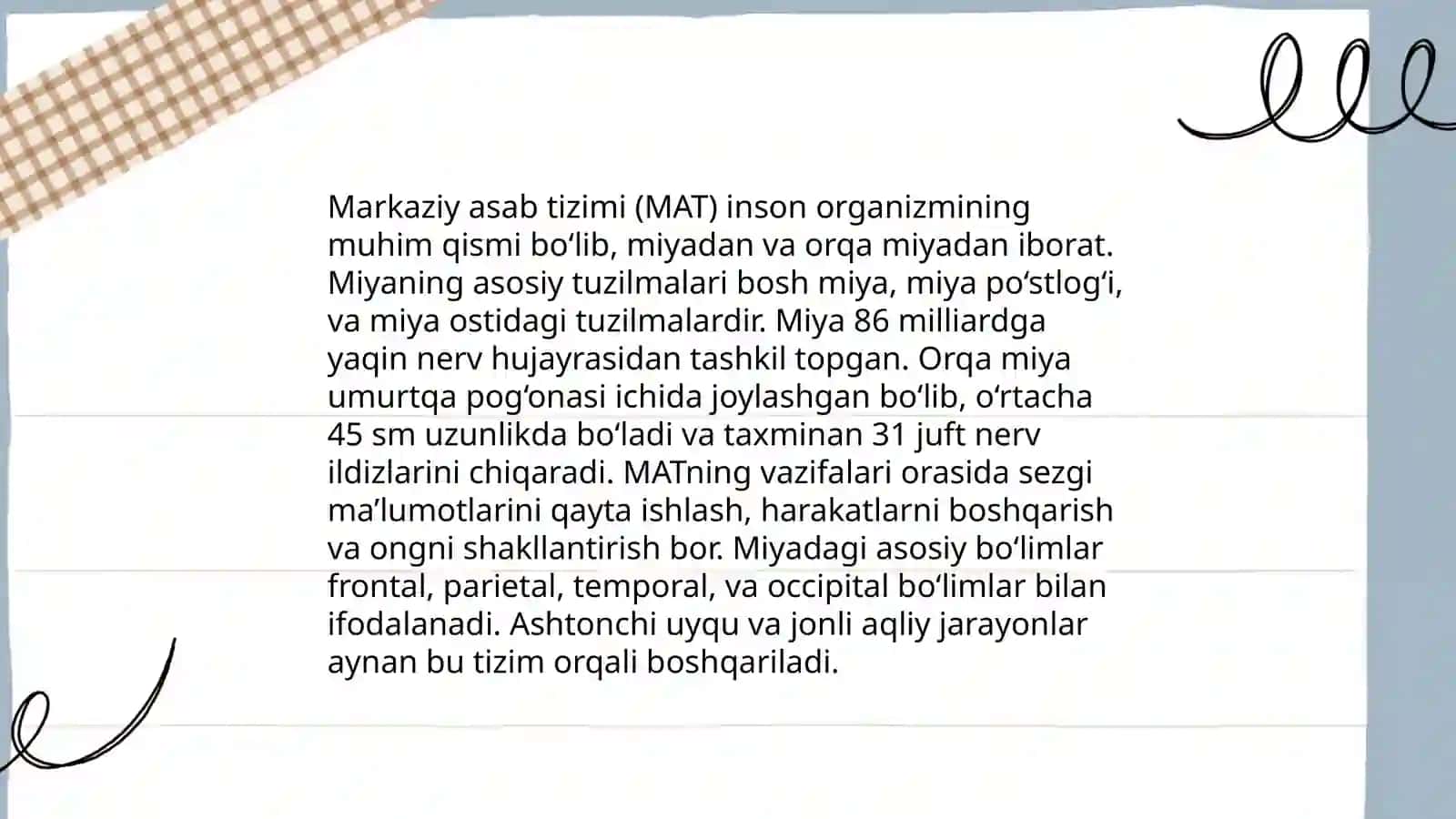 Marzkaziy nerv sistemasi 3