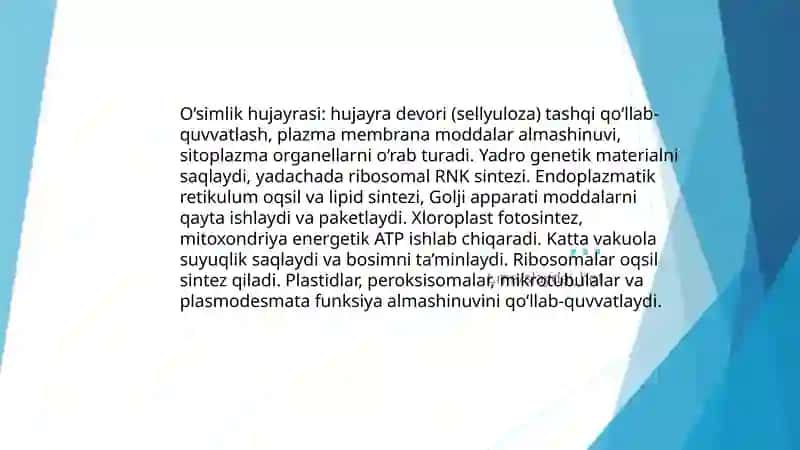 O’rta Osiyo allomalarining tabiiy fanlarni shakillanishiga qo’shgan hissalari 3