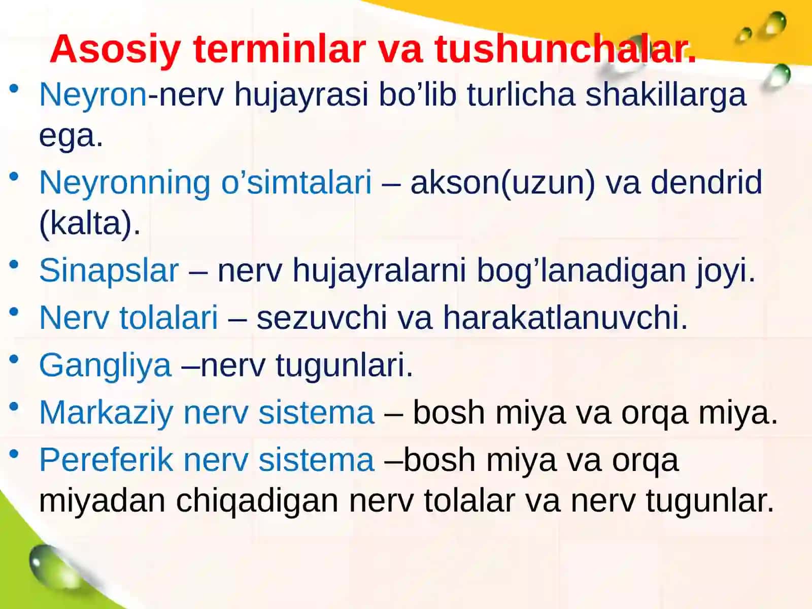 Neyron va nerv tolalarining yoshga bogliq xususiyatlari 3