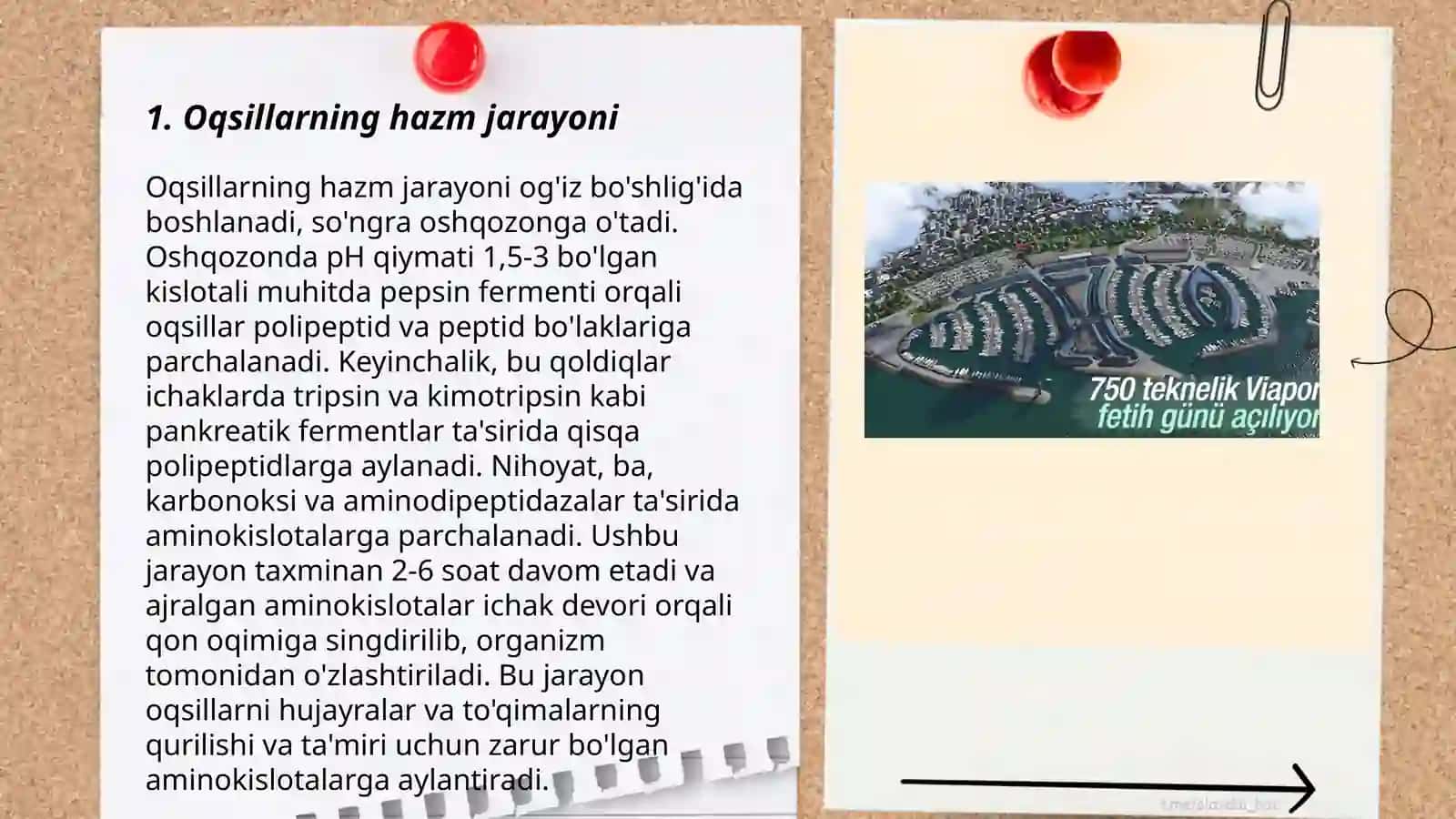 Oziq moddalar (oqsillar, yogʻlar, uglevodlar,mineral tuzlar)ning qonga soʻrilish mexanizmi 3