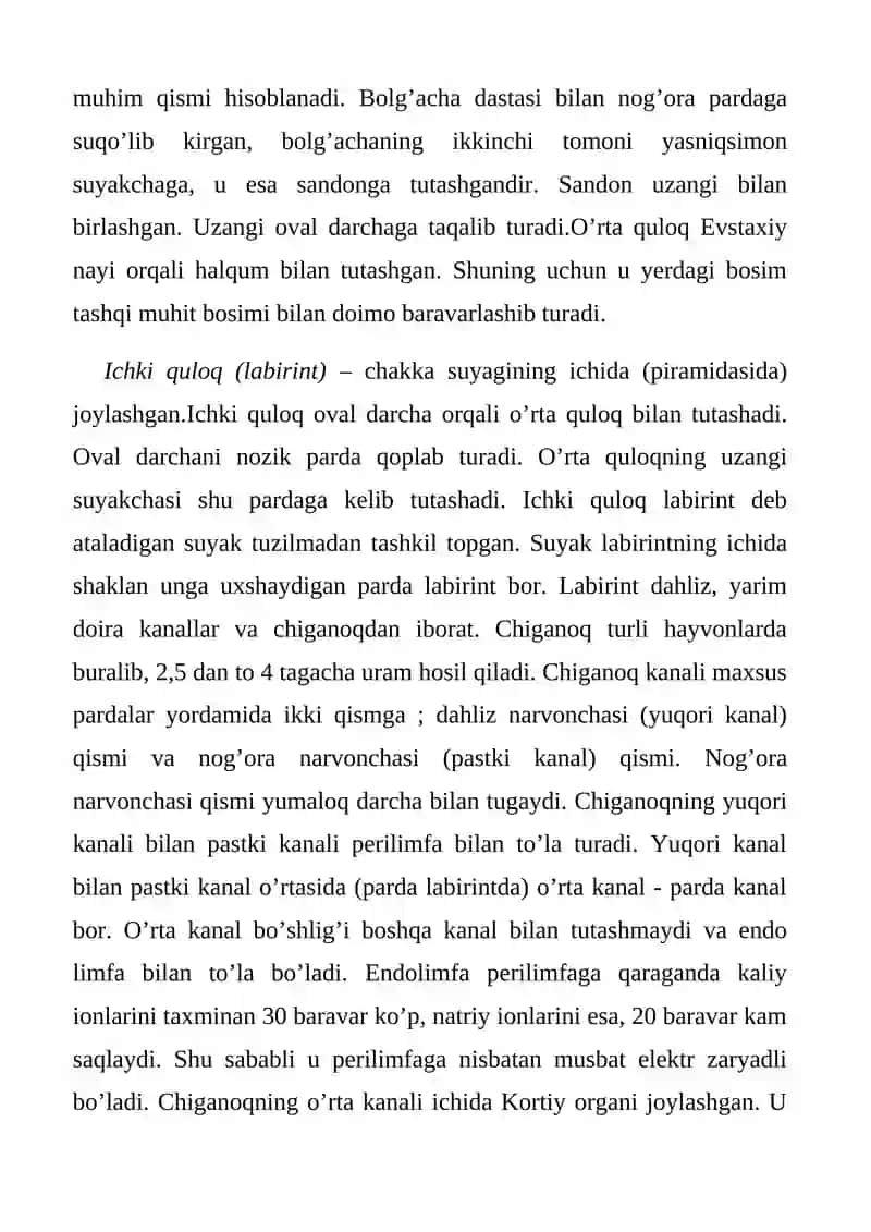 Eshitish analizatori anatomiyasi va fiziologiyasi 3