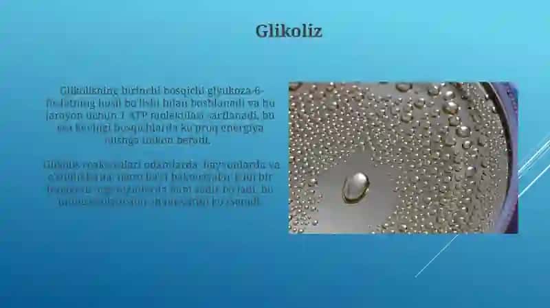 Biologik oksidlanish 3
