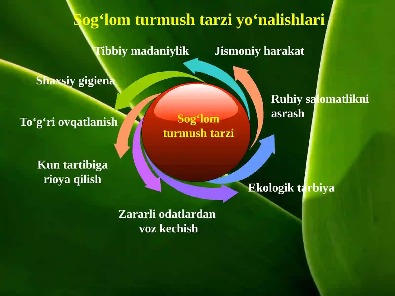 Sog‘lom turmush tarafdori 3