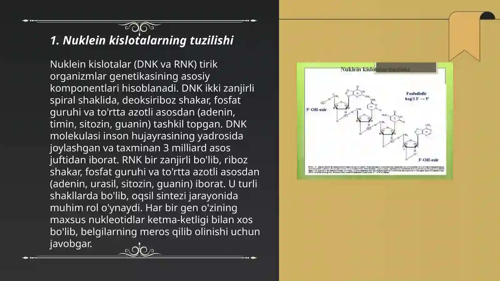 Nuklein kislotalar, oqsil sintezining stimulyator va ingibitorlari 3