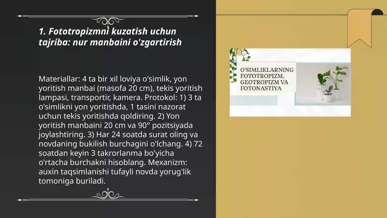 Oʻsimliklardagi fototropizm fotonatsiya va geotropizm hodisalarni kuzatish 3
