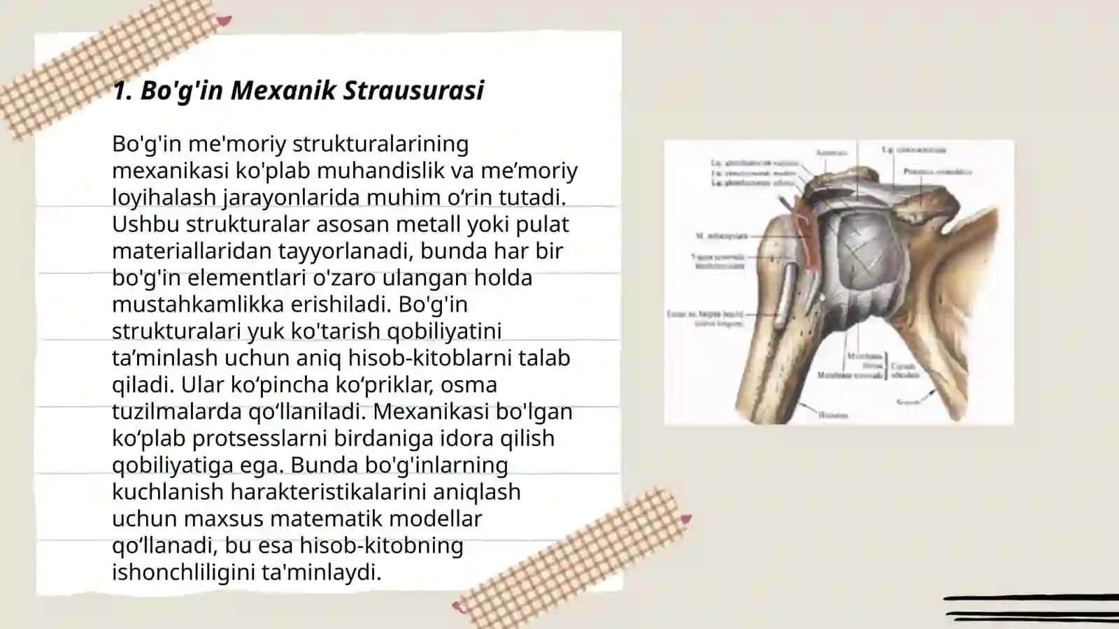Bo'g'imlarning biomexanikasi. Birlashmalarning rentgenanatomiyasi 3