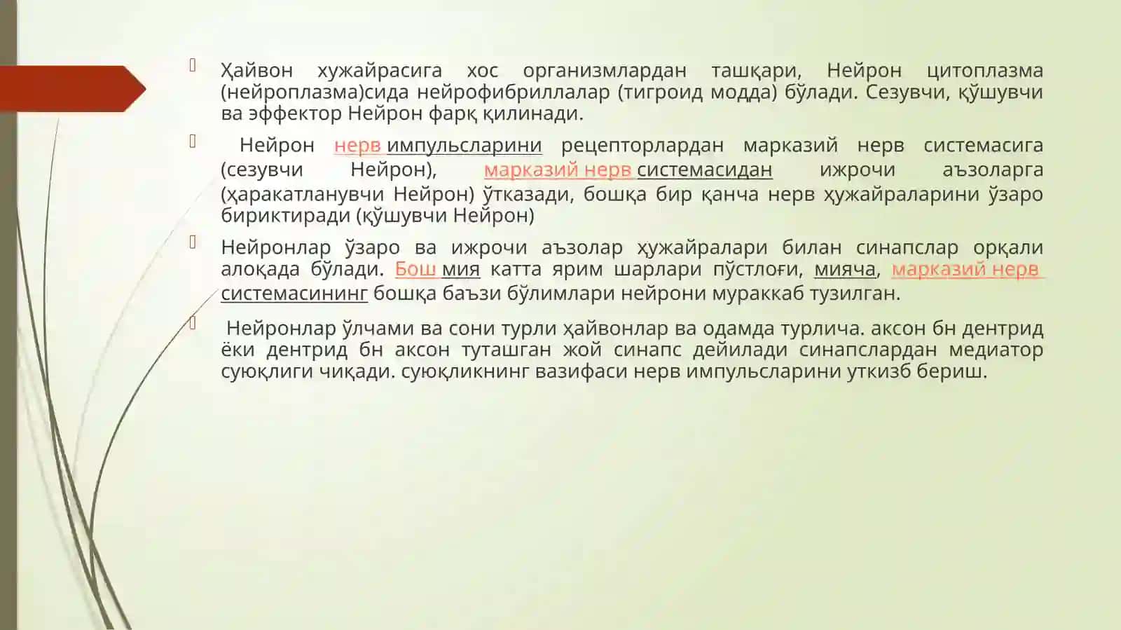 Нейрон тўғрисида тушунча, унинг тузилишива вазифалари 3