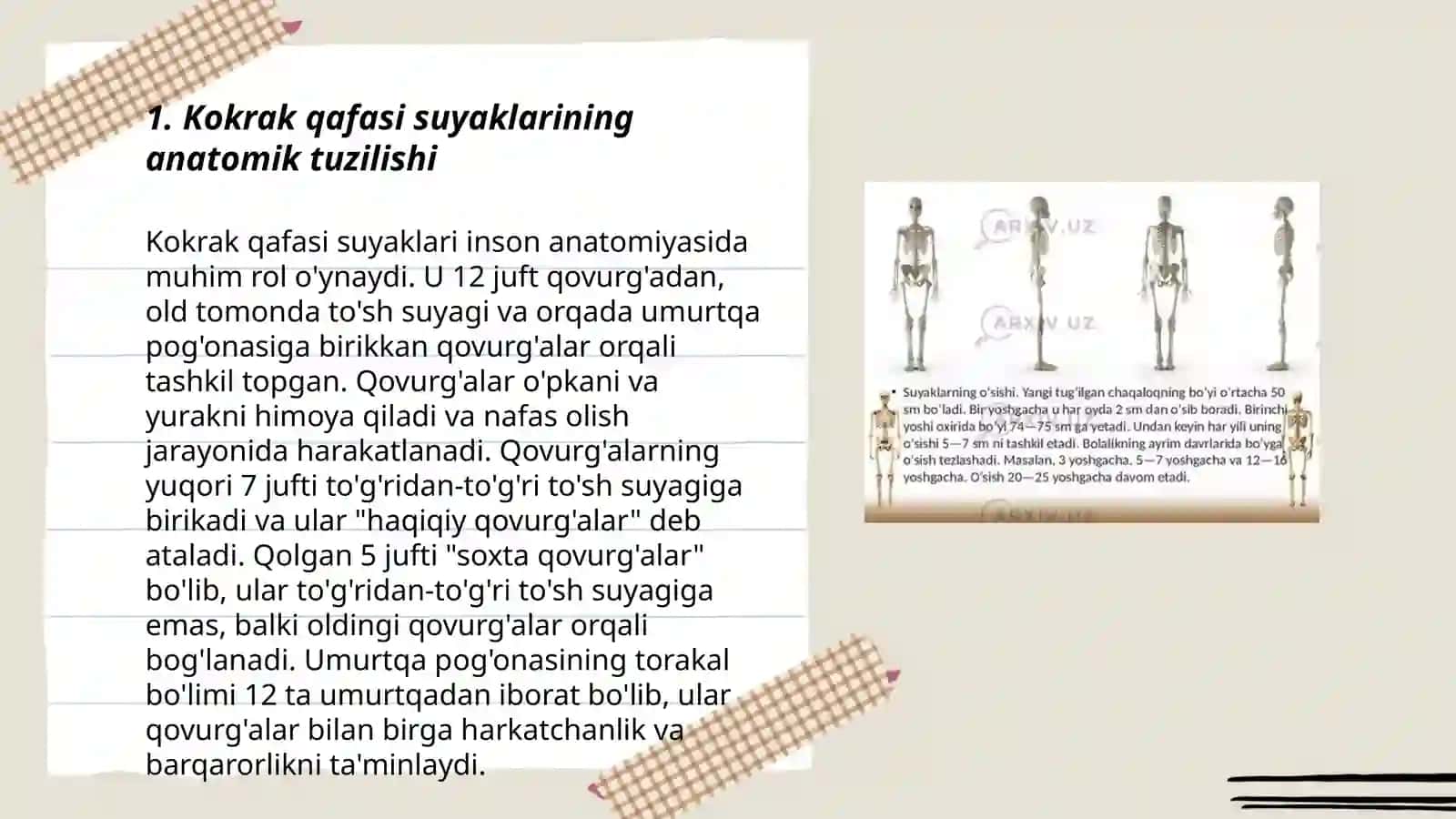 Kokrak qafasi suyaklarining yoshga qarab o'zgarishi ularning tuzulishiga mehnat va sportning tasiri 3