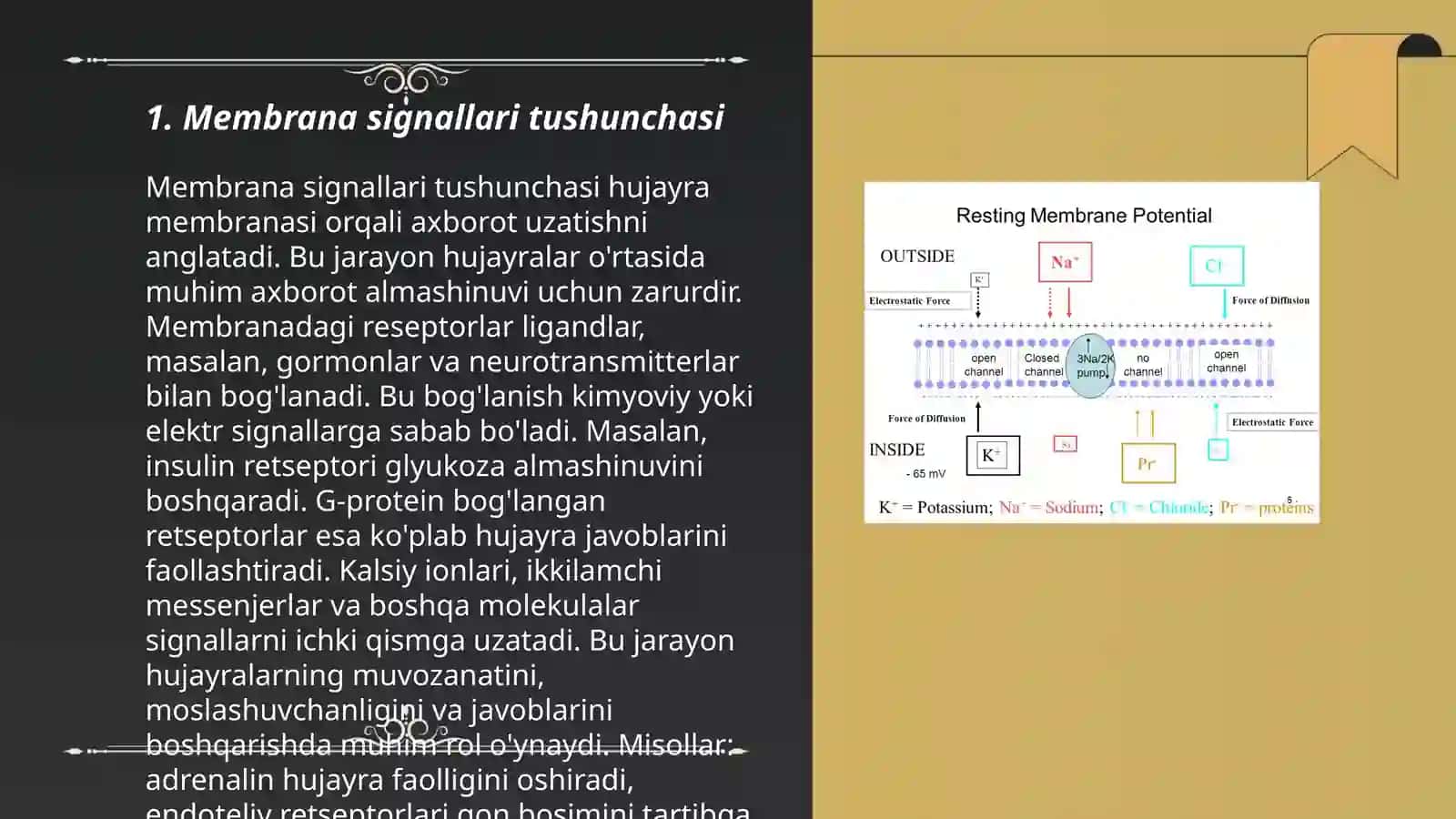 Membrana orqali signallarning o'tkazilishi 3