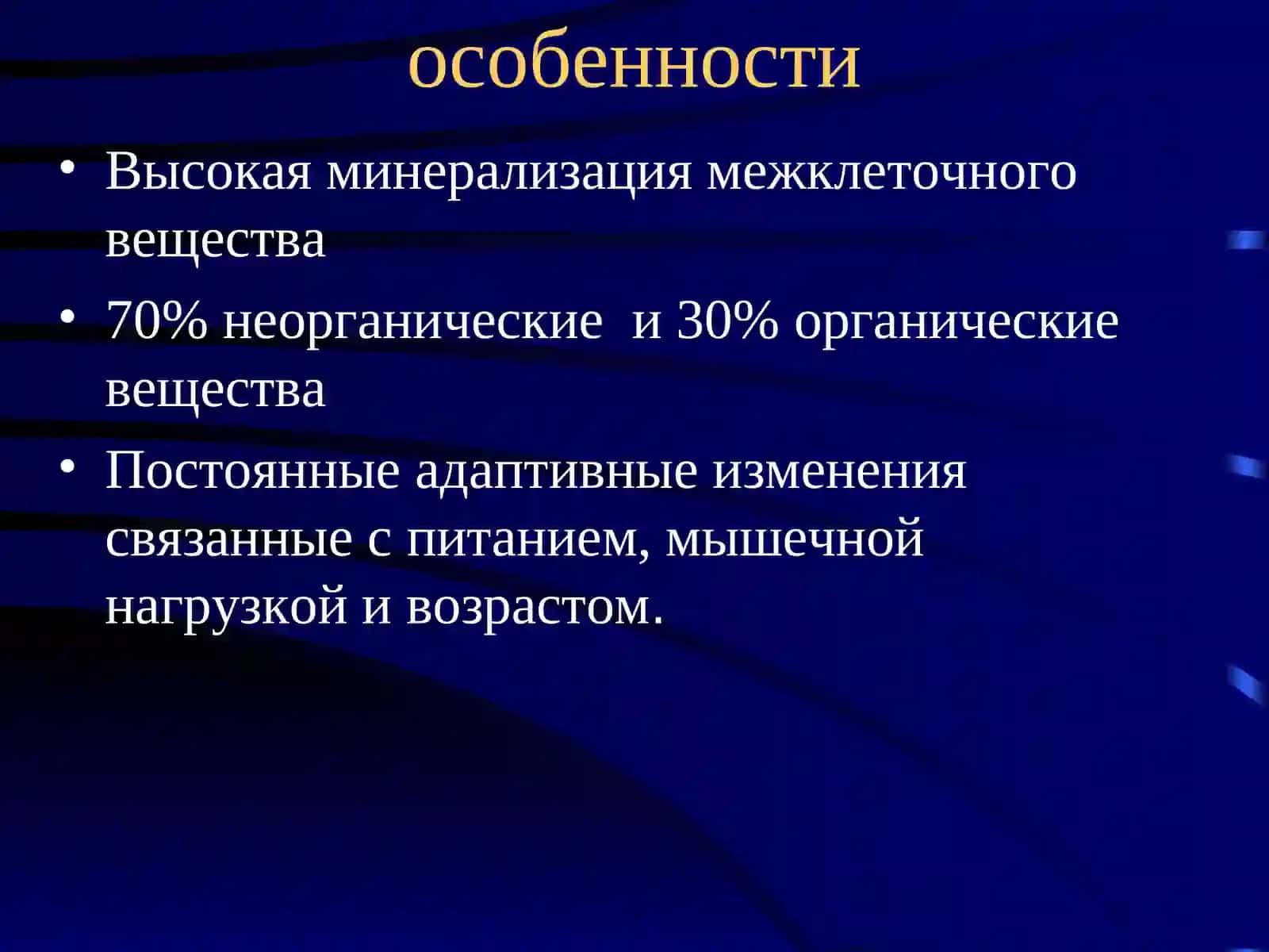 Костные и хрящевые ткани 3