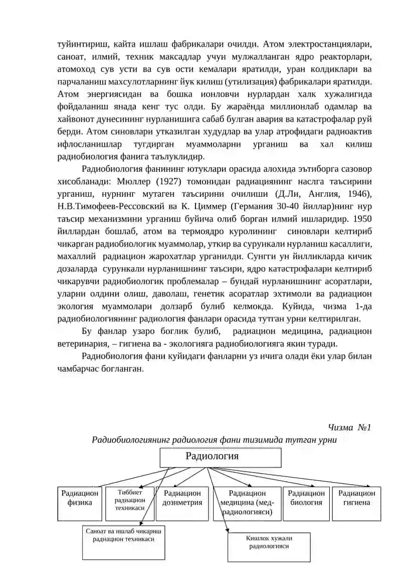 Радиобиология 3