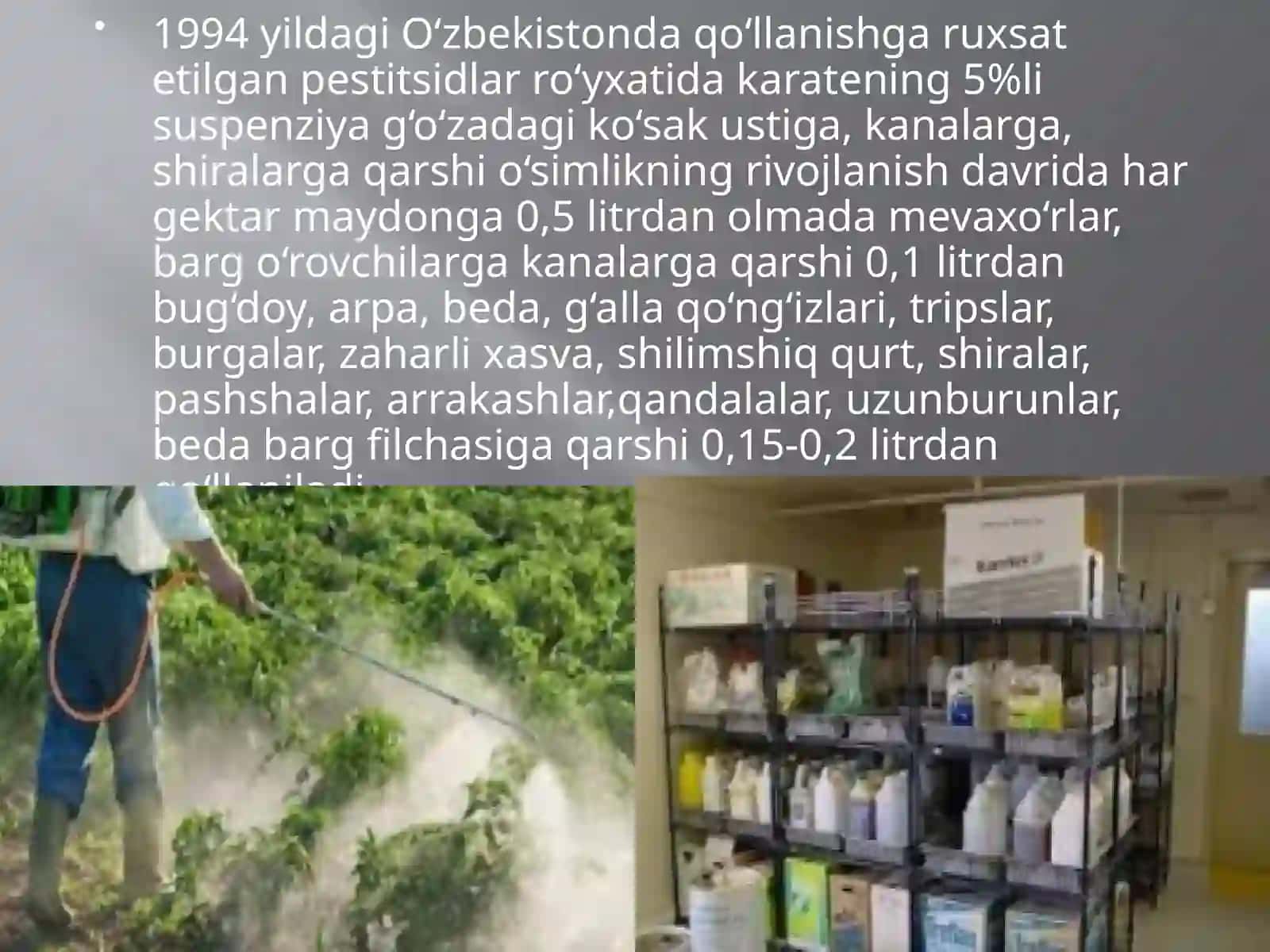 O’simlik zararkunandalariga qarshi kurashda qo’llaniladigan pestitsidlarni o’rganish 3