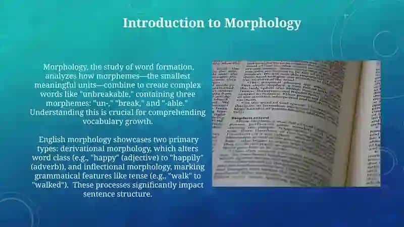 Morphology structure of the English words 3