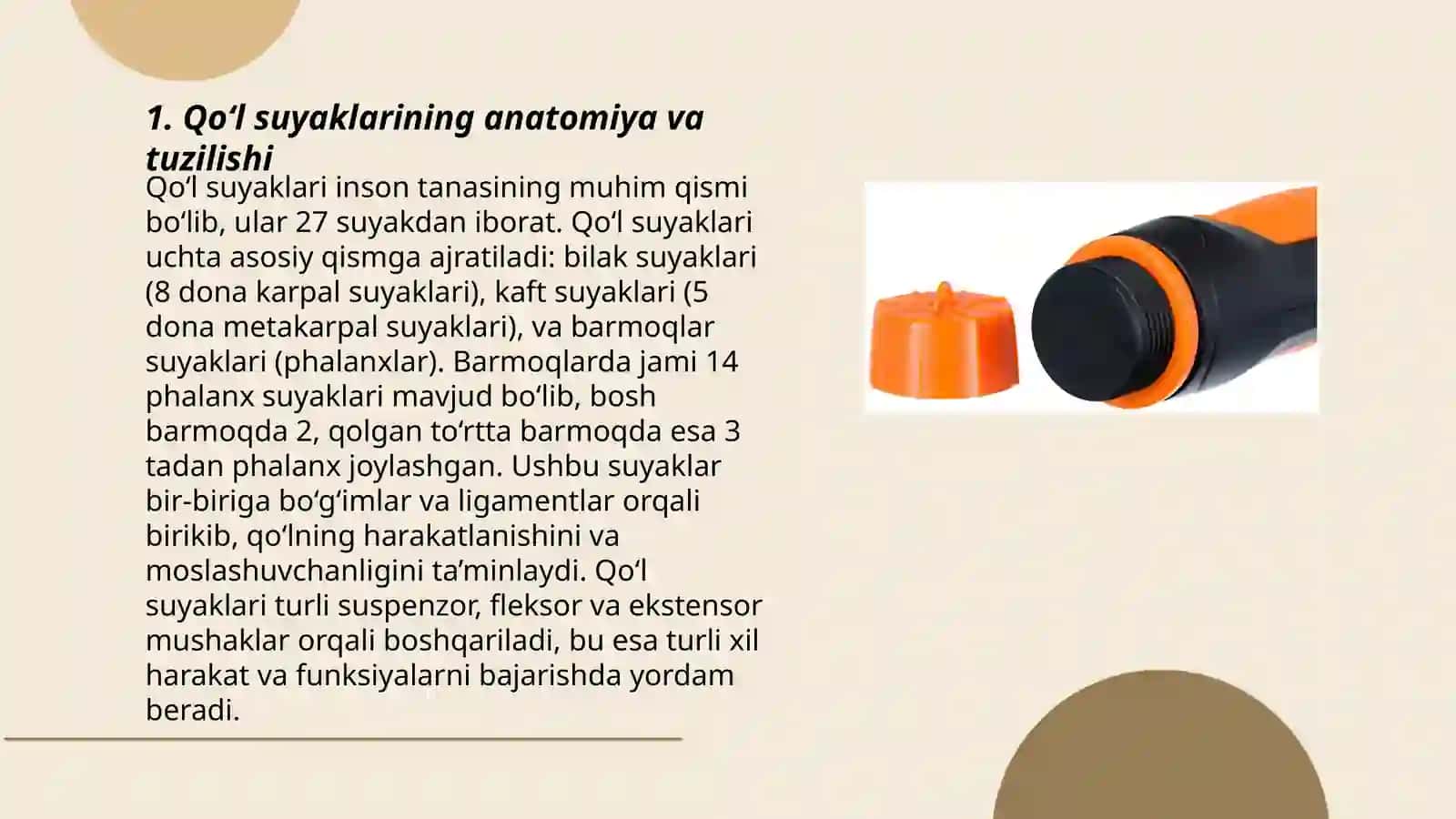 Qo‘l suyaklarining variantli analonnyasi, rivojlanish nuqsonlari, qo‘l 3