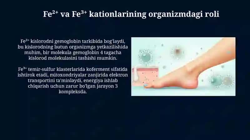 Fe²⁺ va Fe³⁺kation organizmdagi oʻrni.tibbiyotda qoʻllanilishi va dori vositasi tarkibida oʻrni 3