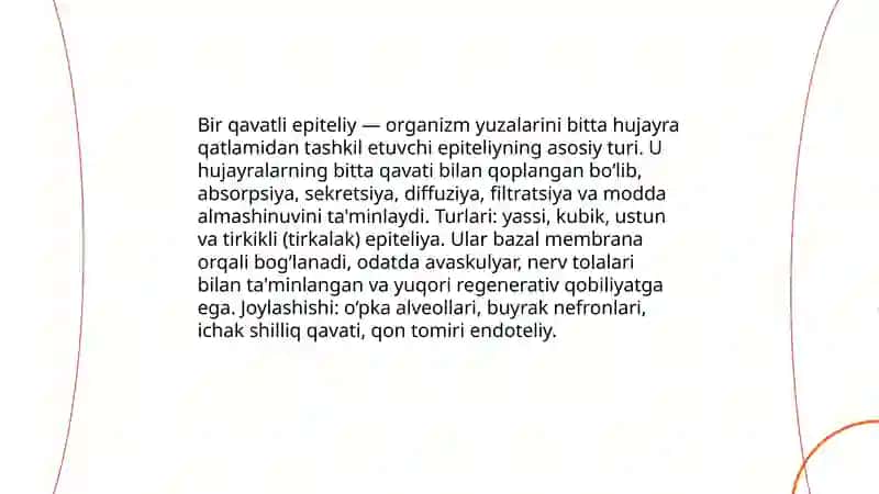Bir qavatli epiteliy 3