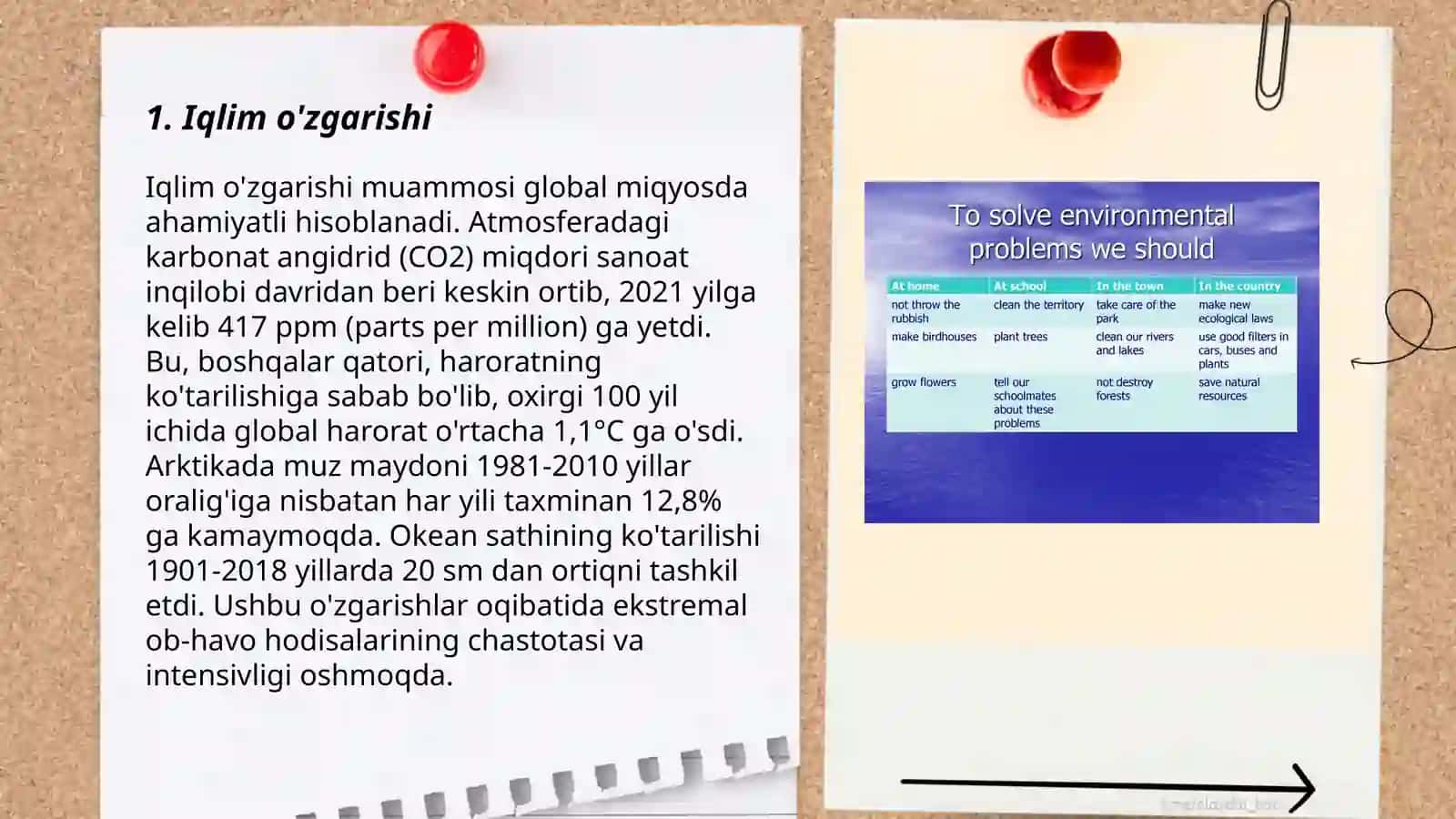Environmental problems Faridkhan Khulmurodov Abdurafikhovich 3