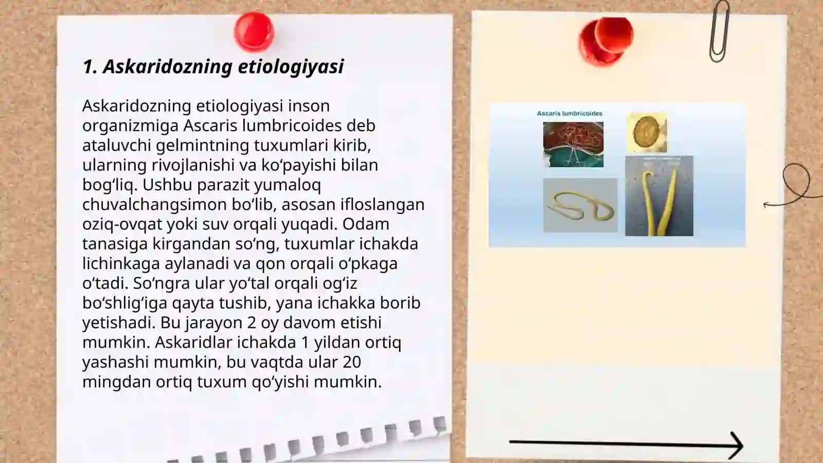Askaridoz 3