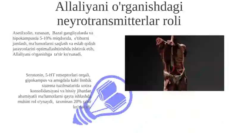 - Tags: serotonin, neyrotransmitterlar, gipokampus, amigdala, limbik sistema 3