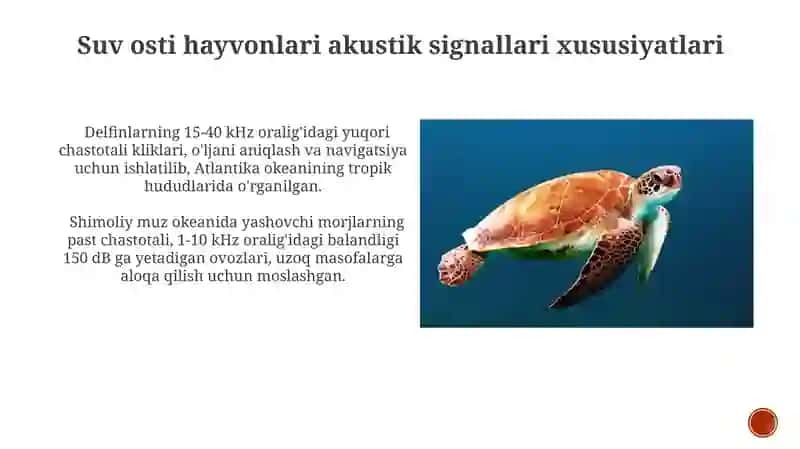 Suv osti hayvonlarining akustik signallarini tahlilqilish 3