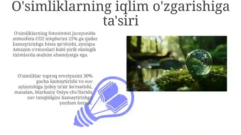 O'simliklarning inson va biosferada tutgan o'rni va muhofazasi 3