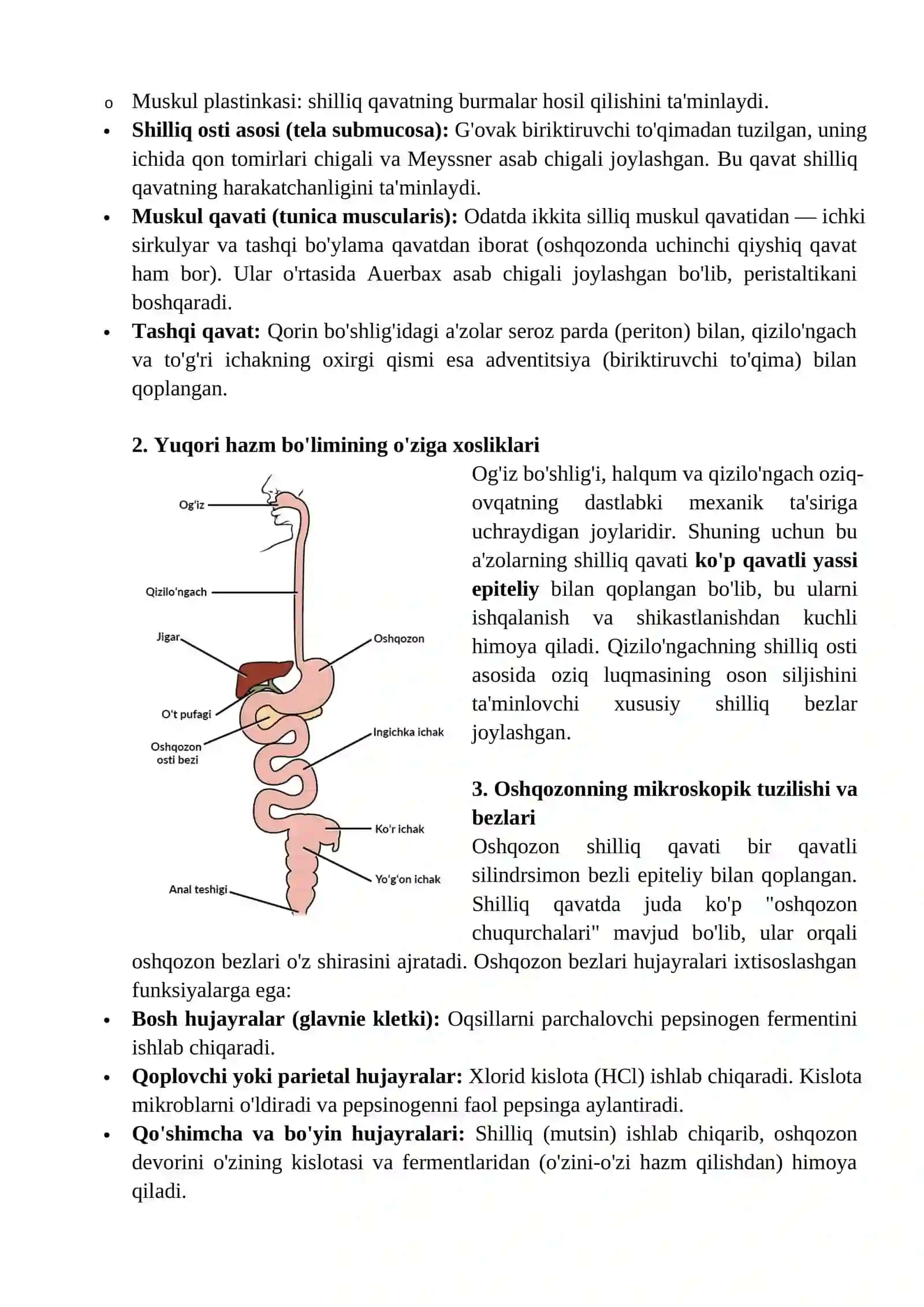 Hazm tizimi azolarining mikroskopik tuzulishi 3