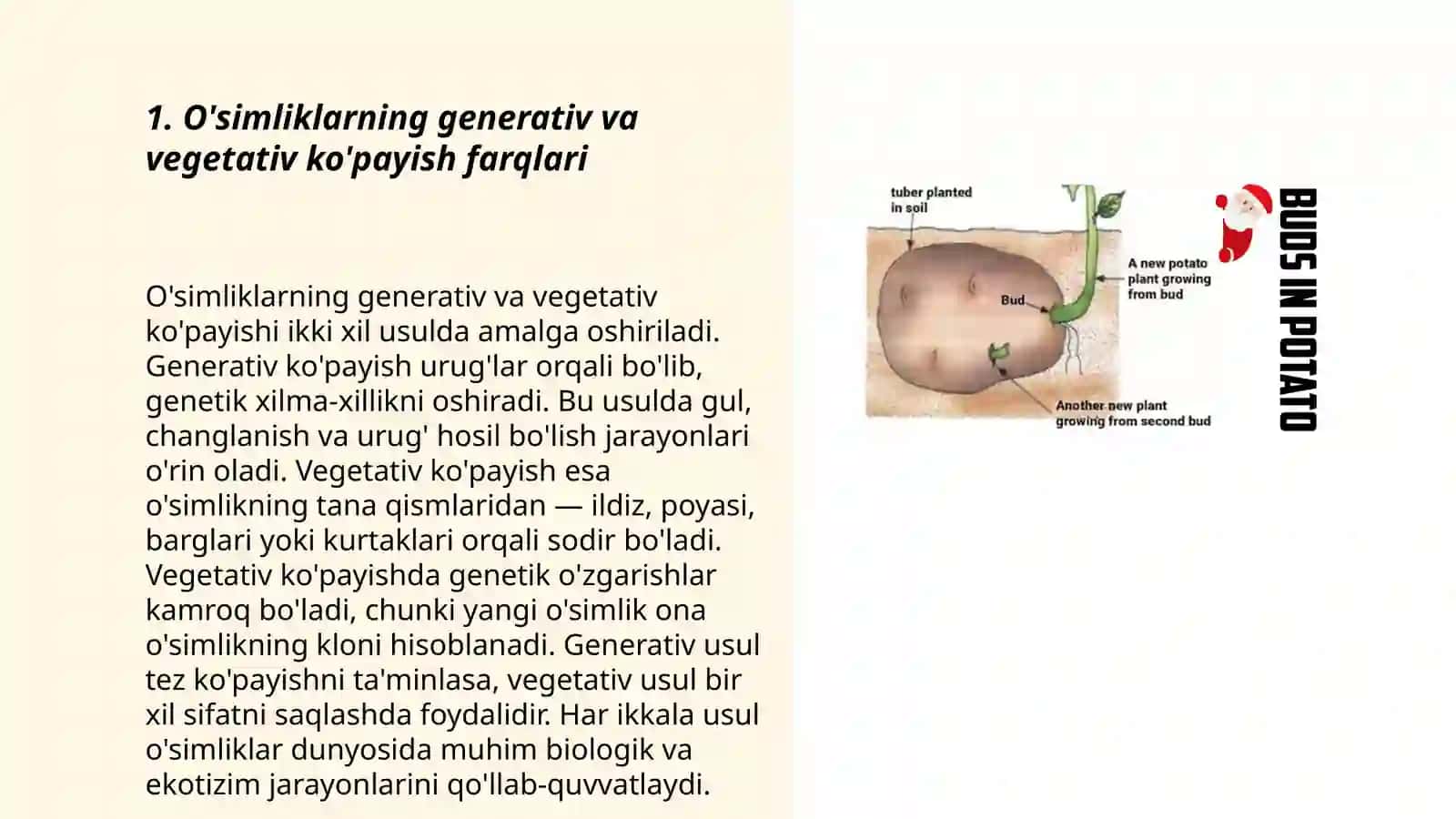 O'simliklarning vegetativ ko'payishi yo'llari 3