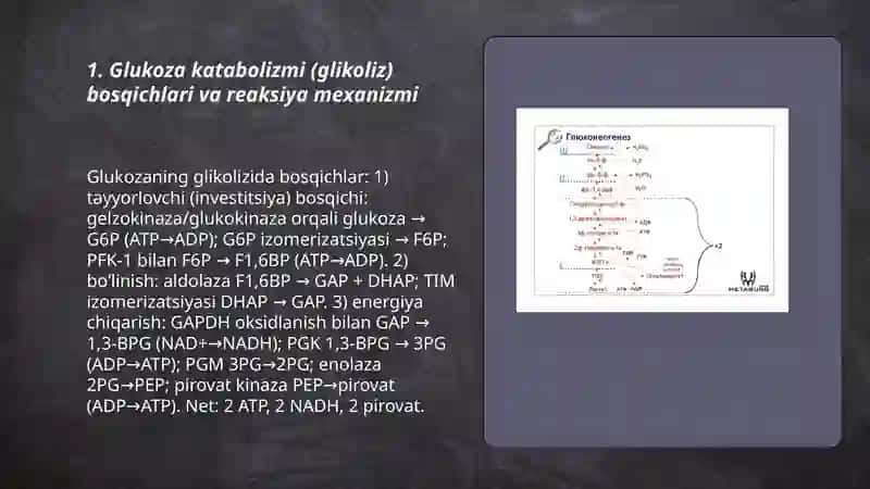 Glukoza katabolizmi glukoneogenez va Pentofasfat yo'lining ahamiyati 3