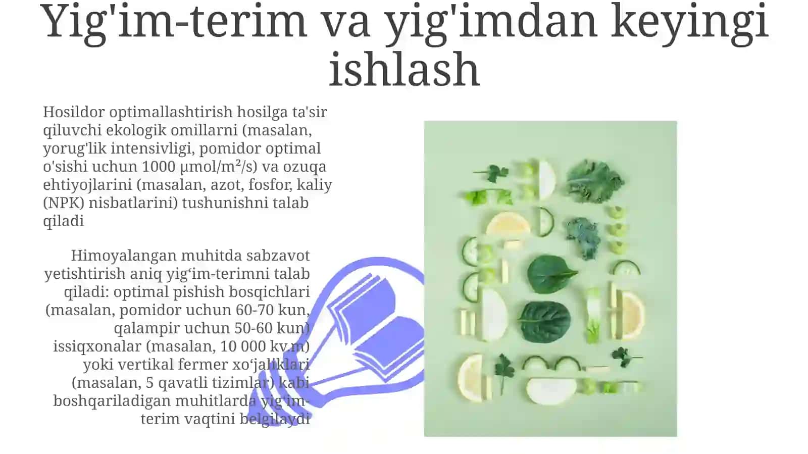 Himoyalangan joylarda sabzavot yetishtirish 3