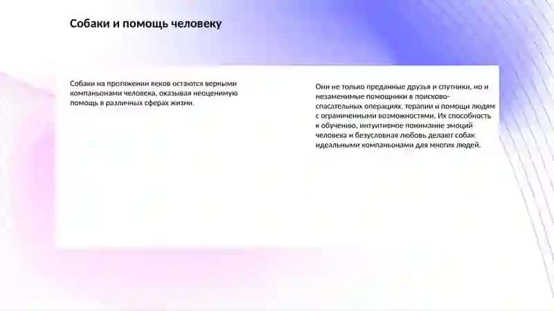 Почему собаку часто называют «лучшим другом человека» 3