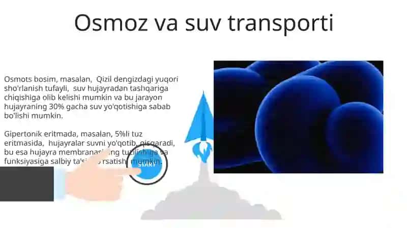 Biologik membranadagi fizik jarayonlar 3