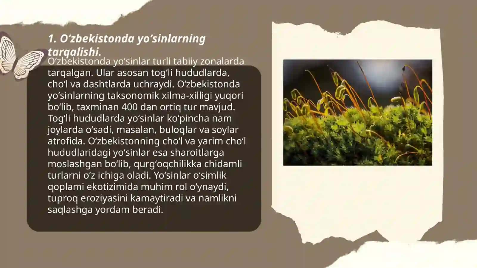 Oʻzbekistonda yoʻsintoifalar boʻlimining oʻrganilish holati va hissa qoʻshayotgan oʻzbek olimlari 3
