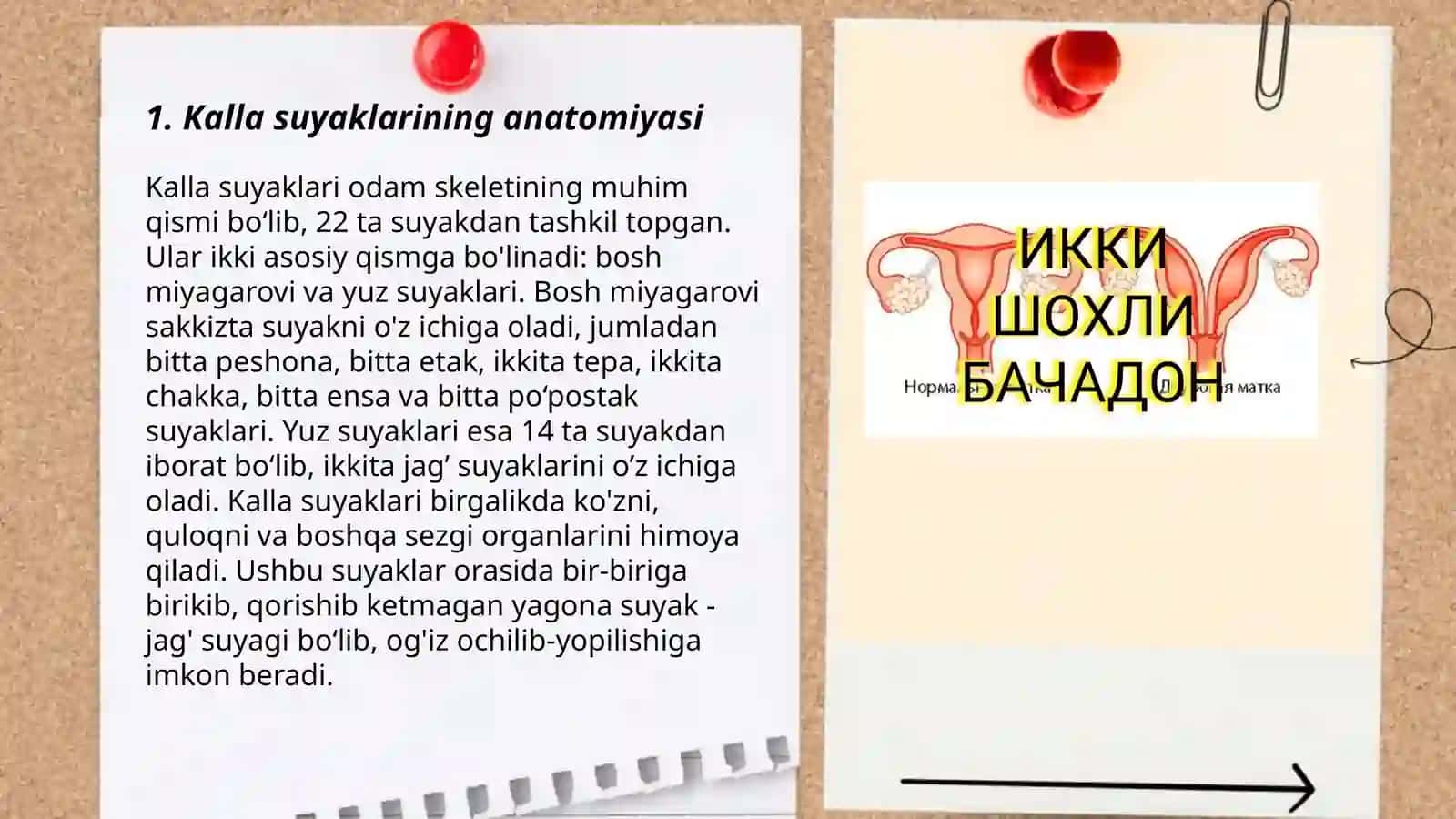 Kalla suyaklarining rentgenanatomiyasi 3