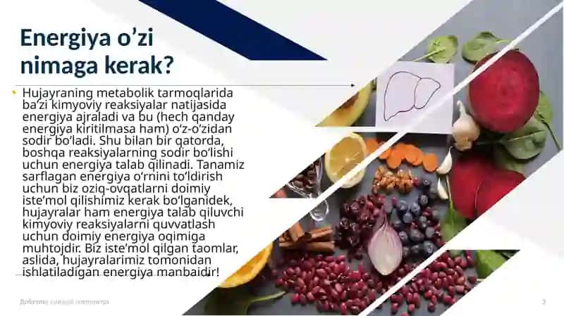 Metabolizm jarayonida energiya hosil bo'lishi va sarflanishi 3