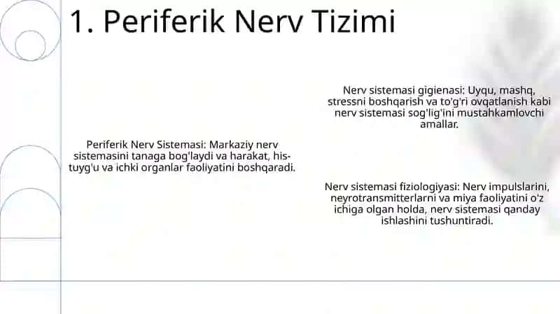Nerv tizimining xususiy fiziologiyasi va gigiyenasi 3