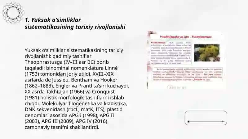 Yuksak oʻsimliklarning zamonaviy sistematikasi 3