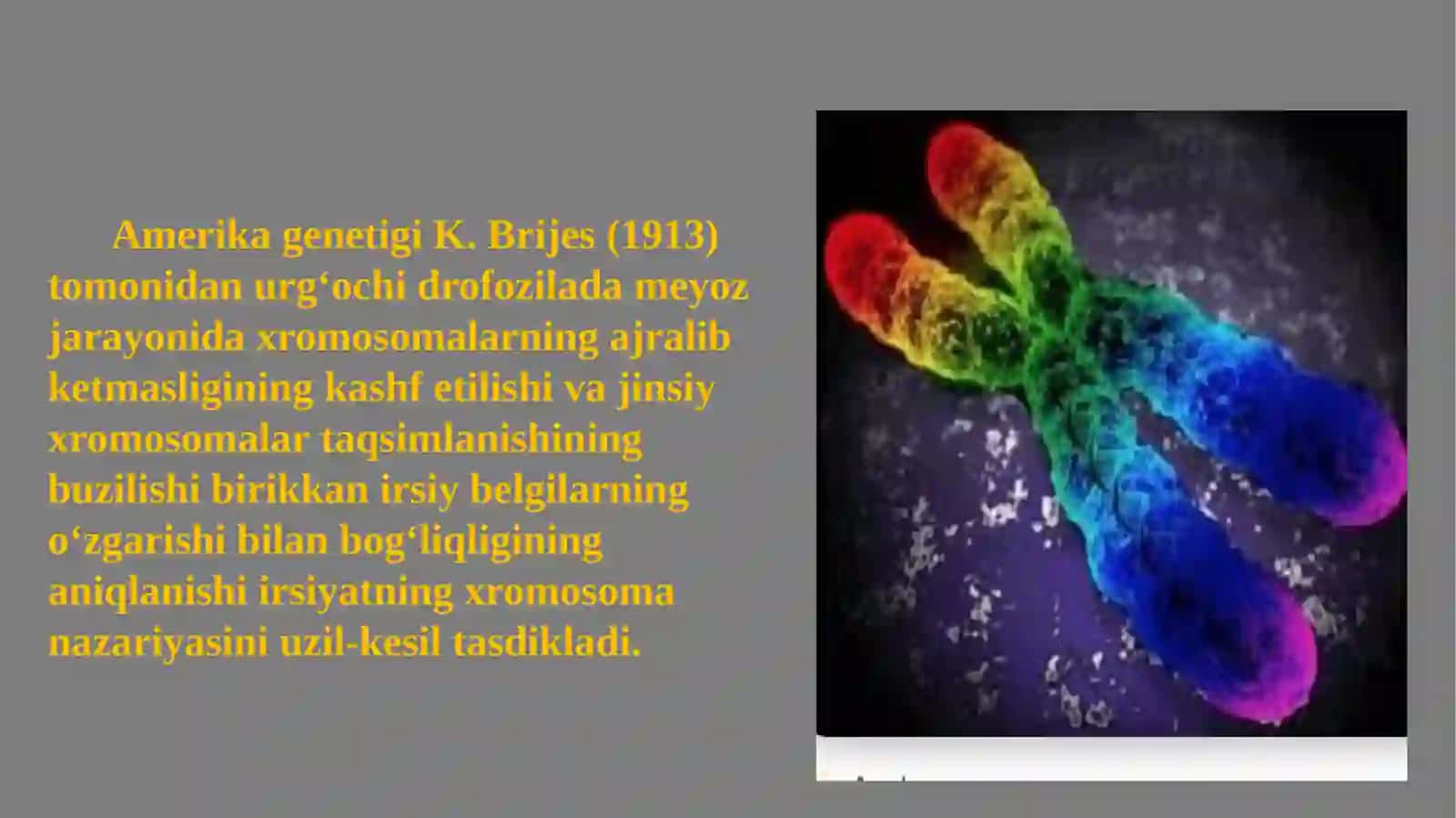 Irsiyatning xromosoma nazariyasi.T.G.Morgan 3